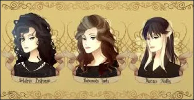 Que sont Narcissa, Bellatrix et Nymphadora ?