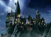 Test Quel est ton statut de sang dans 'Harry Potter' ?