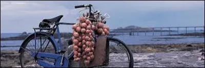 De quelle ville de Bretagne vient cet oignon rosé, à la fois acide et sucré, récolté au mois d'août ?