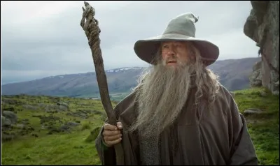 Comment s'appellent les deux jeunes Hobbits qui font exploser les feux d'artifice de Gandalf ?