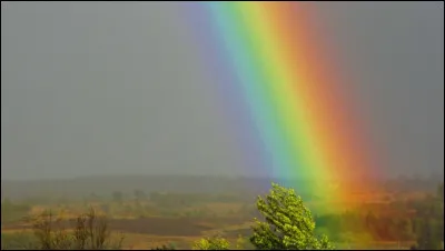 Quelle est ta couleur préférée ?