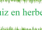 Quiz C'est de l'herbe !