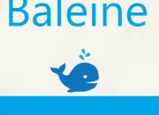 Quiz  dos de baleine !