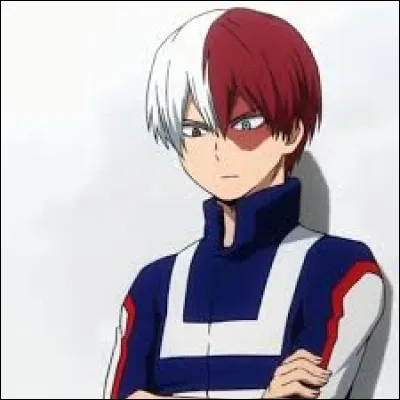 Par qui Shoto Todoroki est-il brûlé au visage ?