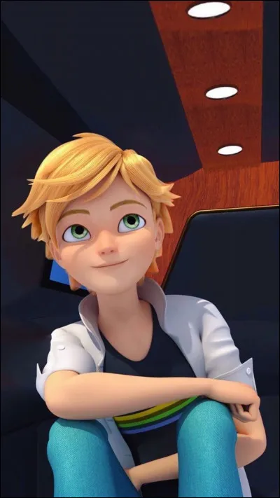 Qu'est-ce qui représente le mieux Adrien ? Il est...