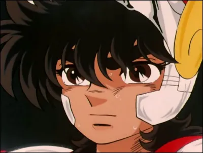 Qui est la sœur de Seiya ?