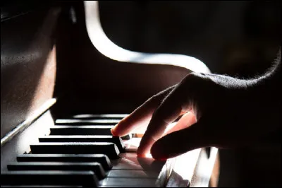 Qui interprétait la chanson ''Il jouait du piano debout'' ?