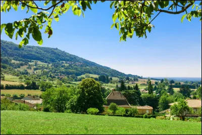 Débutons ce quiz en France. Dans quel Département situez-vous la commune de Saint-Amour, dans l'arrondissement de Lons-le-Saunier ?