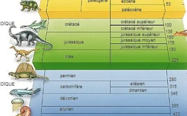 Quiz Sciences