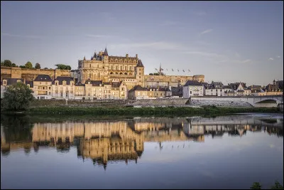 Ce château situé sur la Loire, est lié au grand roi François 1er. 
Léonardo da Vinci vécut à proximité dans le manoir du Clos Lucé, pendant plusieurs années :