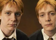 Quiz Fred et George Weasley