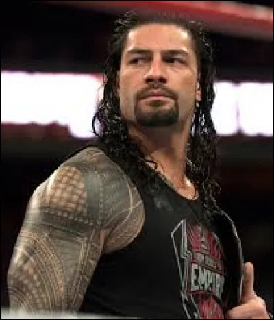 Quel est le finisher de Roman Reigns ?