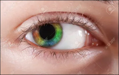 Quelle est ta couleur d'yeux ?