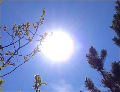 Sunnudag est signifie dimanche en...