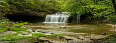 Les Syamois vivent dans le Jura.