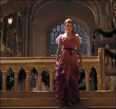 Dans "Harry Potter et la Coupe de feu", lors du bal à Poudlard, Hermione Granger a pour cavalier Viktor Krum.