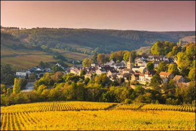 Quand le mot "rural" est-il apparu ?