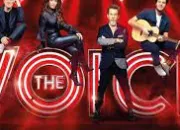 Test Quel membre du jury de The Voice ?