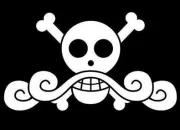 Quiz Les Jolly Roger dans One Piece