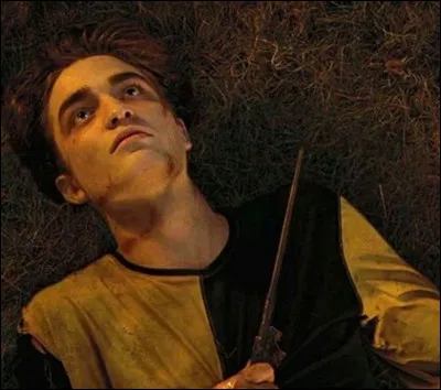 Comment s'appelle réellement Cedric Diggory ?