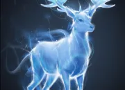 Quiz Harry Potter : Les Patronus