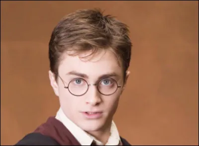 Dans quelle maison Harry Potter est-il envoyé ?