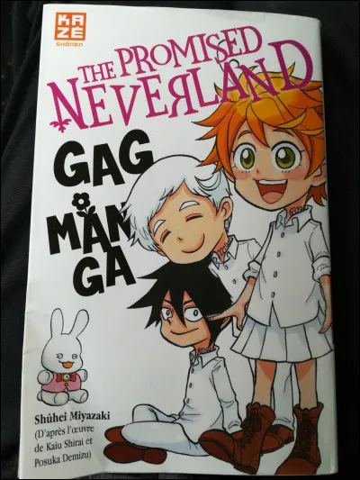 Dans "The Promised Neverland, Gag Manga", comment se nomme la spéciale de Sœur Krone ?