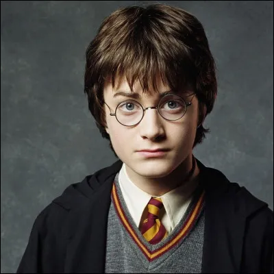 Qui est l'acteur de Harry Potter ?