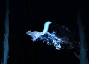 Test Quel est votre patronus ?