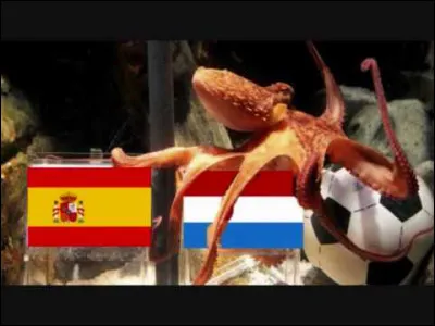 En 2010, cet animal prédit sans se tromper les résultats de l'équipe d'Allemagne lors de la Coupe du Monde de Football, il en désignera également le vainqueur !