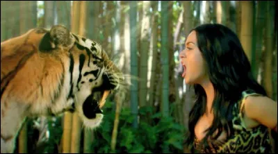 Dans quel clip peut-on voir ce tigre ?