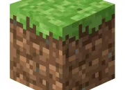 Quiz Connais-tu Minecraft ?