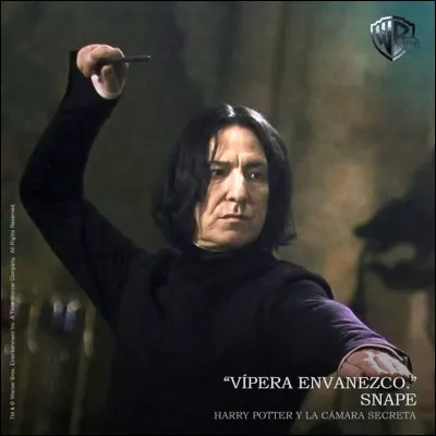 Severus Rogue est-il méchant ?