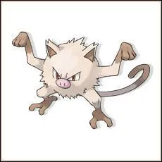 Quel est le nom de ce pokemon ?