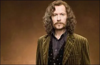 Commençons par une question basique ! Comment Sirius Black n'est-il pas devenu fou à Azkaban ?