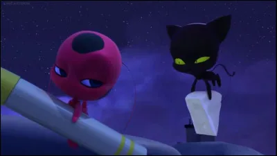 Comment s'appellent les Kwamis de Chat Noir et Ladybug ?