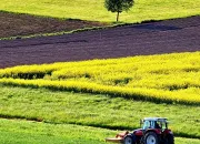 Quiz Espaces naturels et agriculture