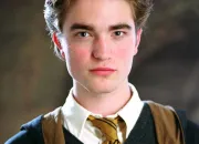 Quiz Quizz sur Cedric Diggory