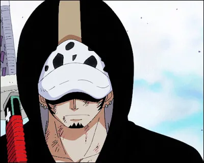 Quel âge Trafalgar Law a-t-il après l’ellipse de 2 ans ?