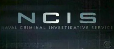 Que veux dire Ncis ?