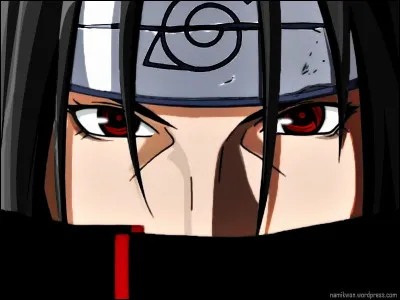 Pourquoi Sasuke déteste-t-il Itachi ?