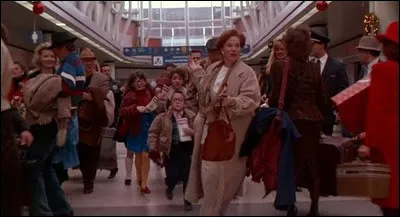 Où la famille McCallister souhaite aller pour passer leurs vacances ?