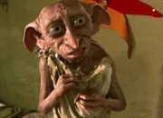 Quiz Dobby