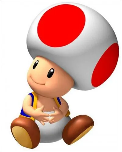 En quoi est fait le chapeau de Toad ?