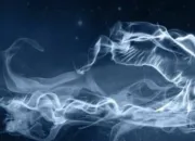 Quiz Harry Potter : les patronus (2)