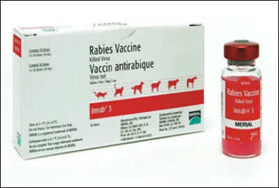 Contre quoi utilise-t-on le vaccin anti-rabique ?