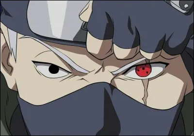 Comment surnomme-t-on Kakashi Hatake dans "Naruto" ?