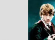 Quiz Harry Potter ou Gardiens des cits perdues ?