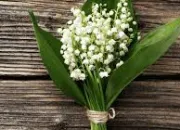 Quiz 1er mai rime avec muguet !