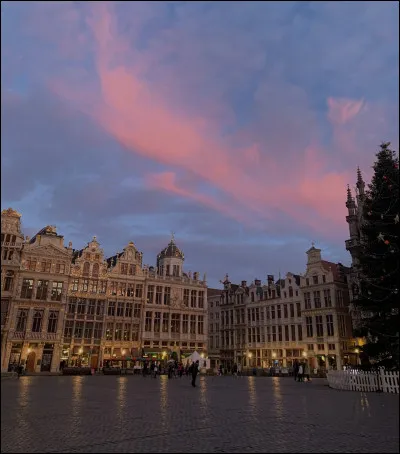 La capitale de la France est Bruxelles.